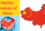 PESTEL analysis of China in 2024, the Chinese market study