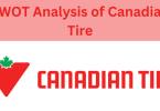 Canadian Tire SWOT Analysis 2024.